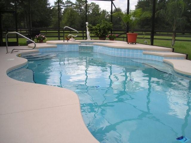 Custom Swimming Pool